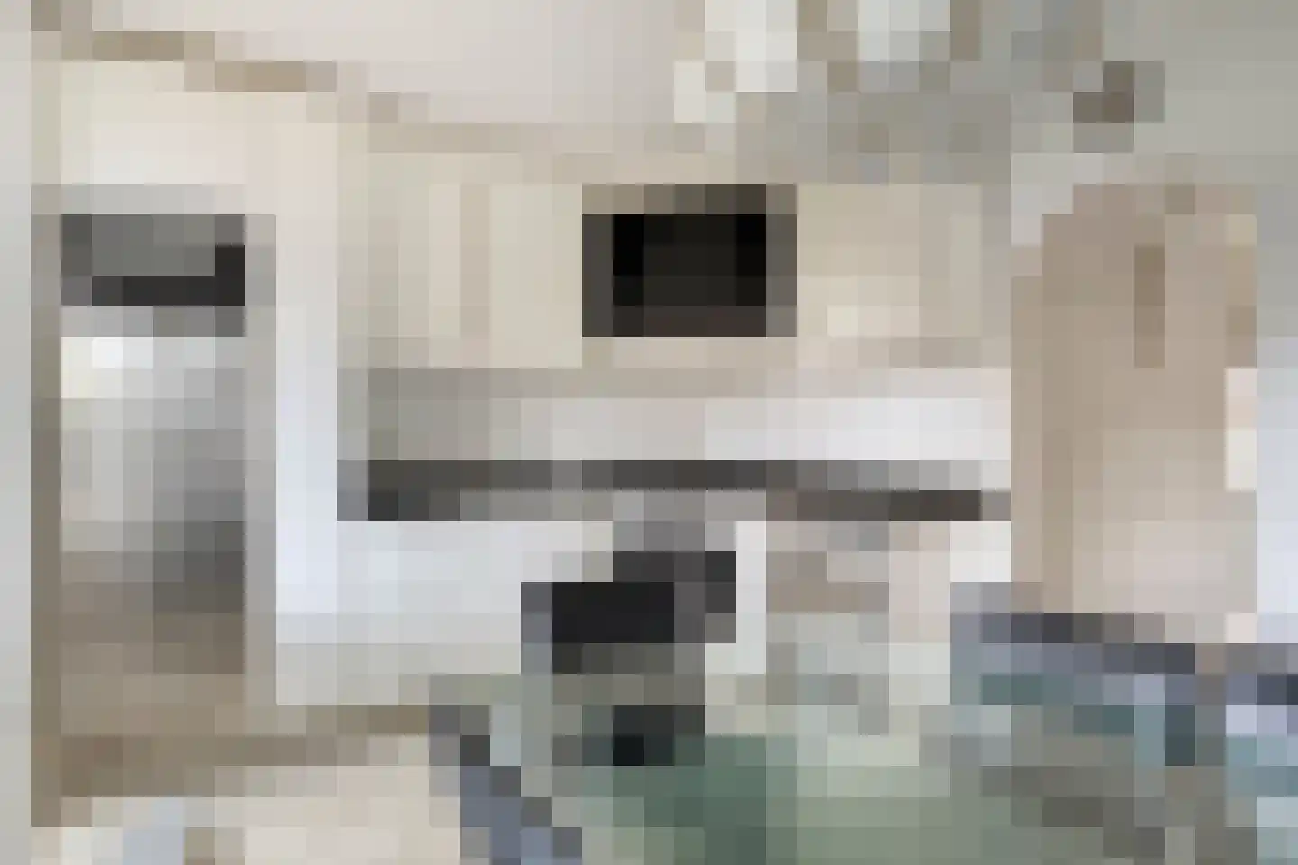 Rijksweg 137 Mook thumbnail 27