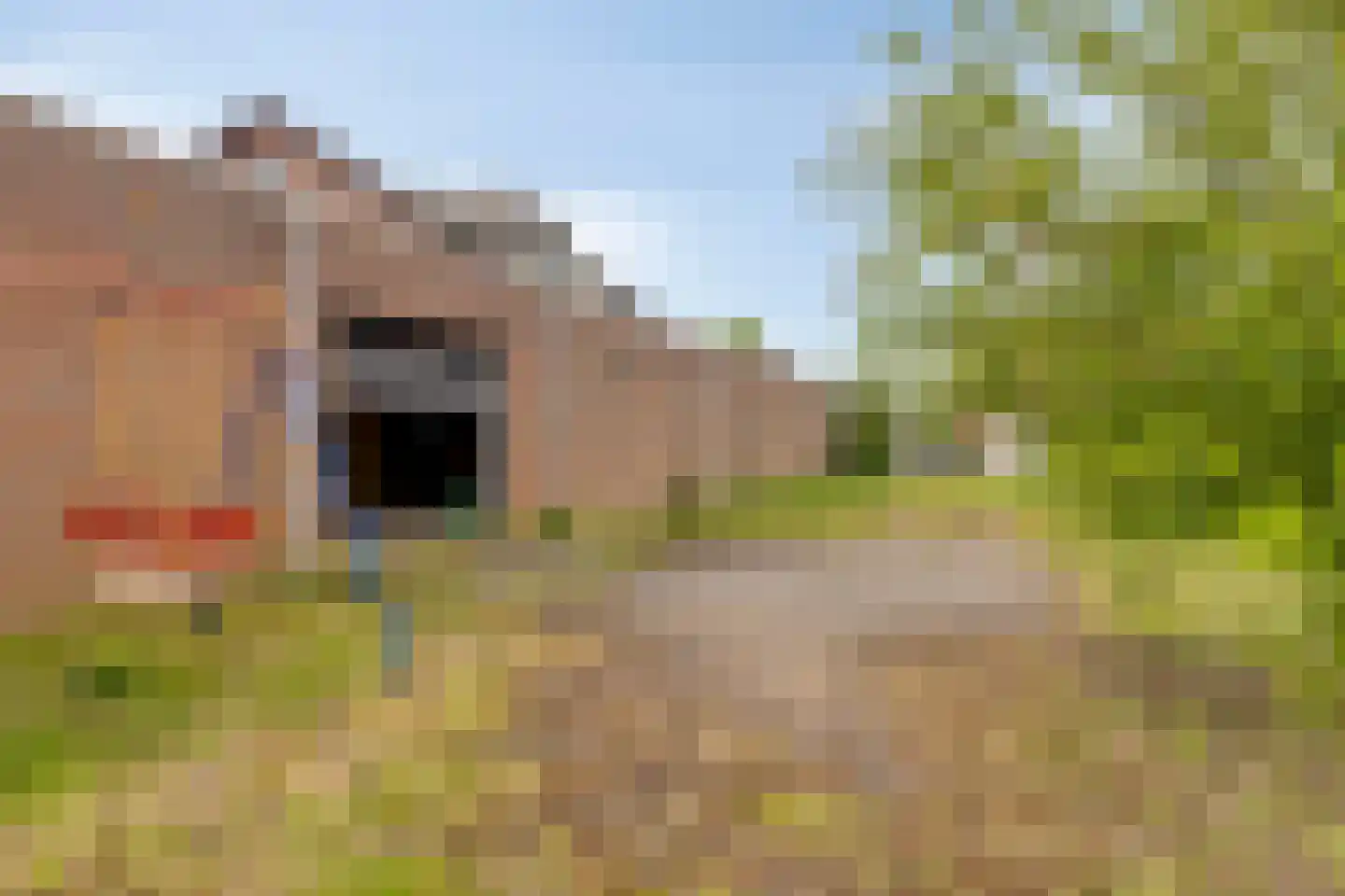 Rijksweg 137 Mook thumbnail 59