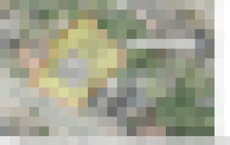 Rijksweg 137 Mook thumbnail 64