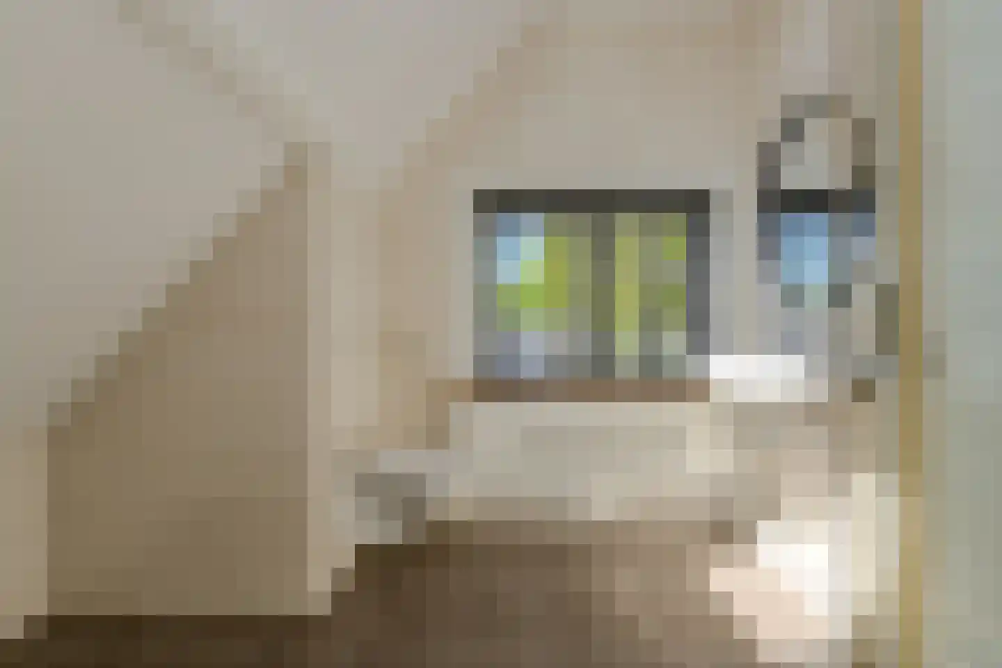 Rijksweg 138 Dorst thumbnail 50