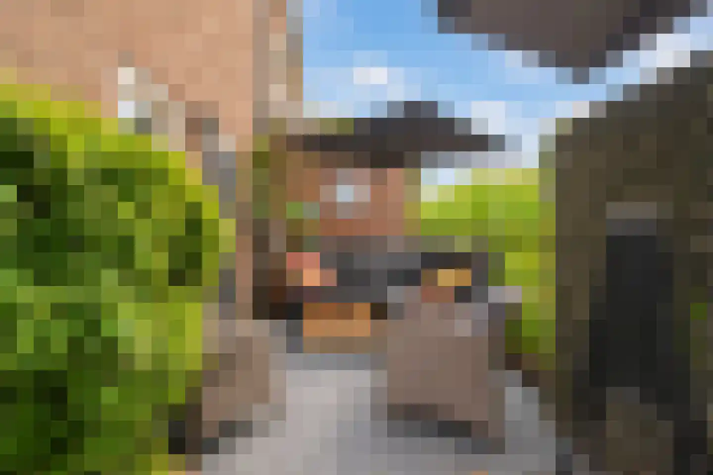Rijksweg 14 Berg en Terblijt thumbnail 16