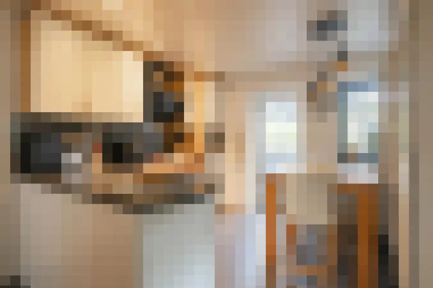 Rijksweg 14 Berg en Terblijt thumbnail 6