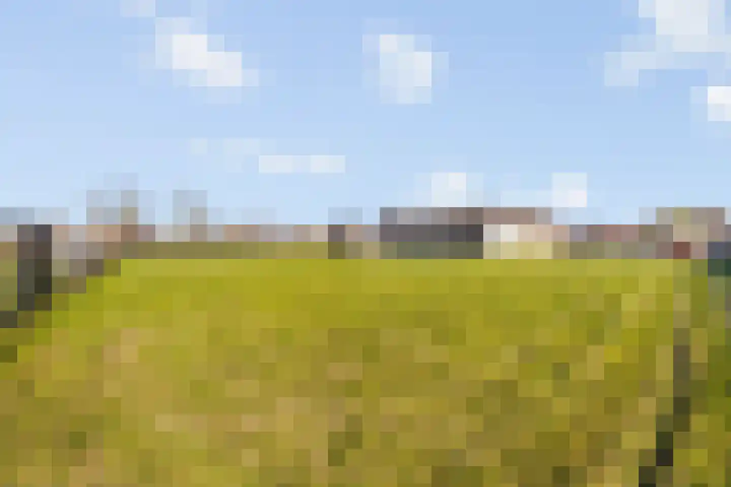Rijksweg 14 Linne foto 2