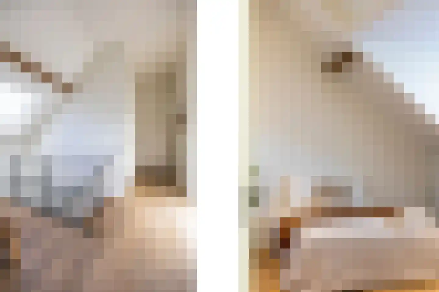 Rijksweg 14 Linne thumbnail 26