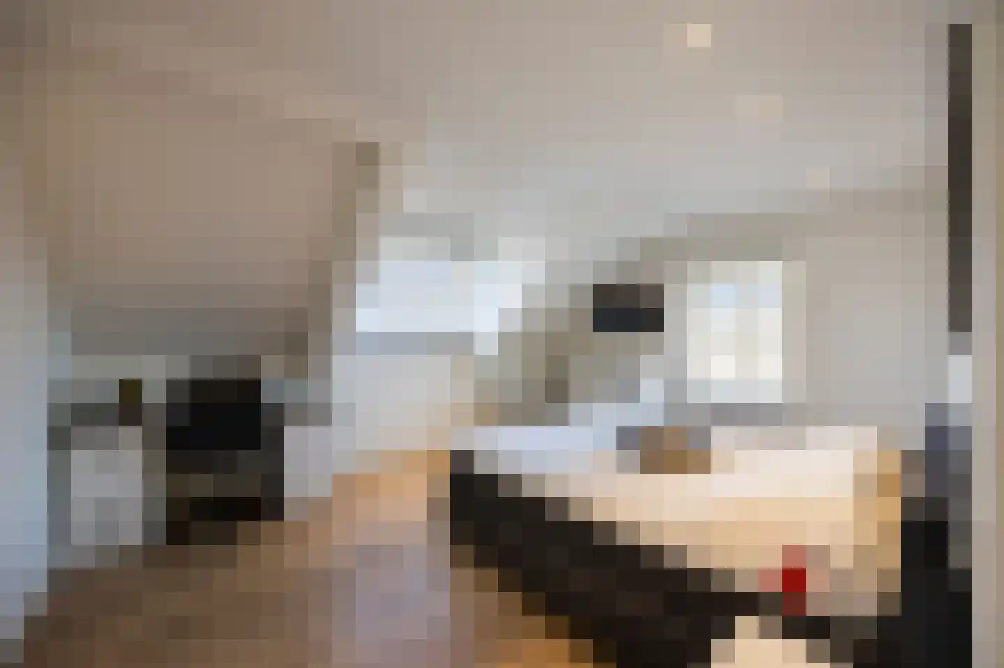 Rijksweg 14 Linne thumbnail 29