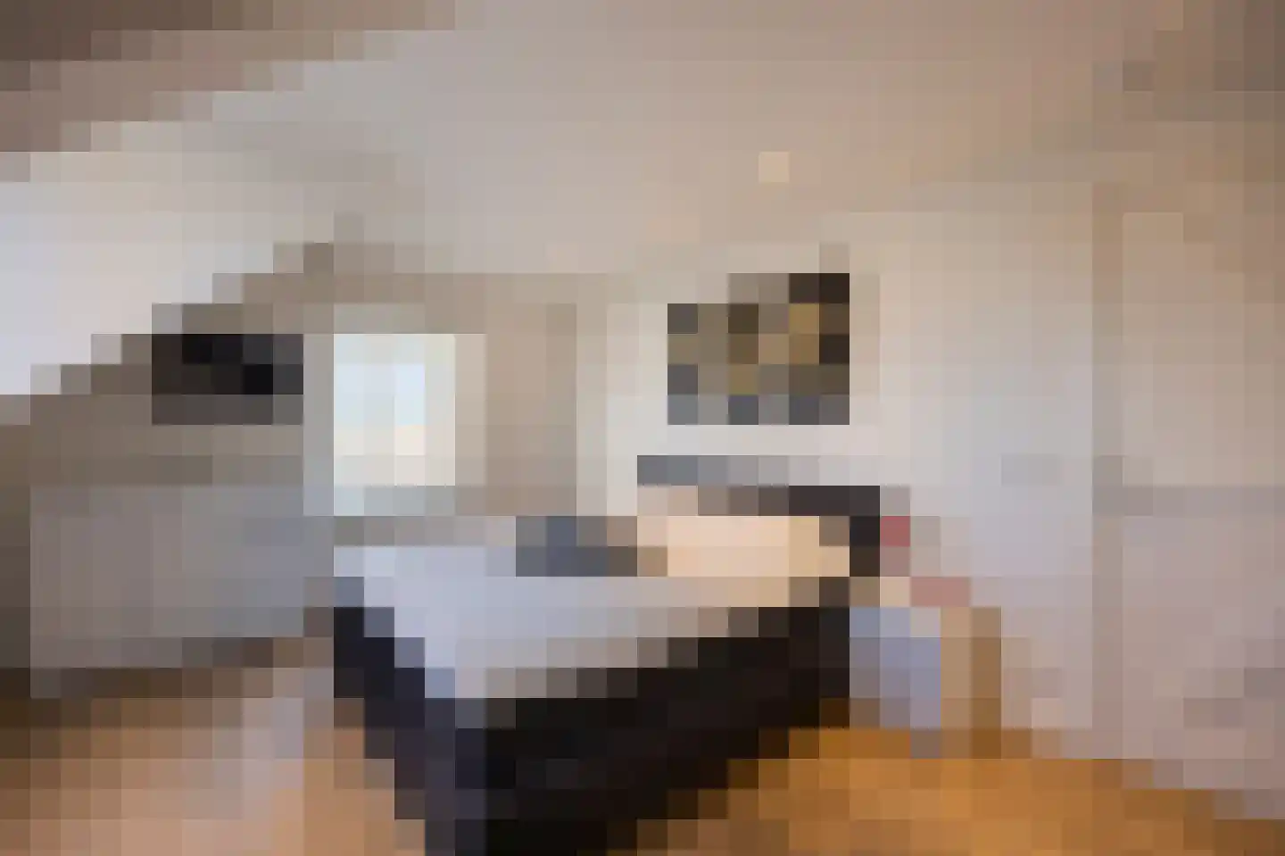Rijksweg 14 Linne thumbnail 30