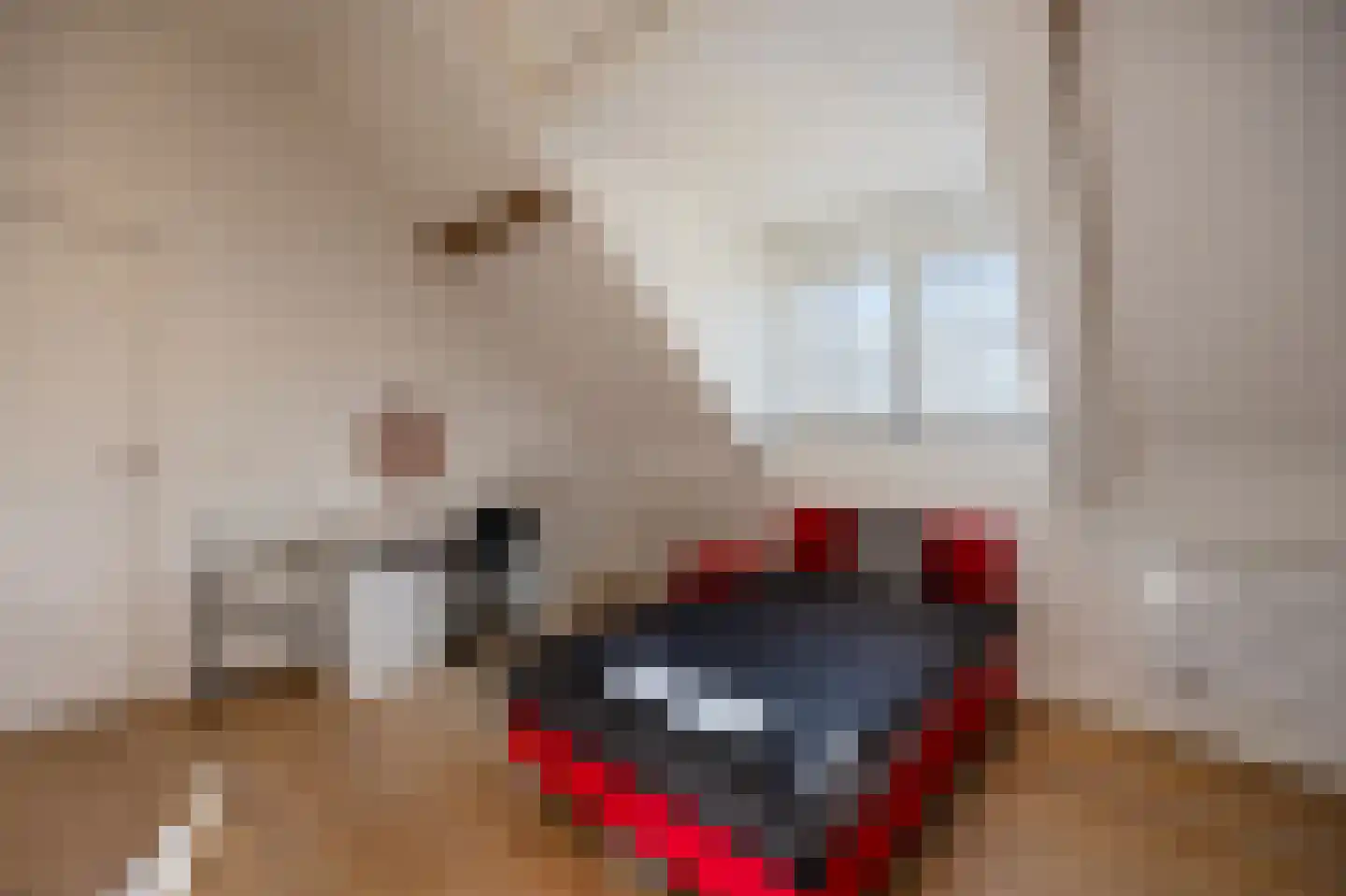 Rijksweg 14 Linne thumbnail 32