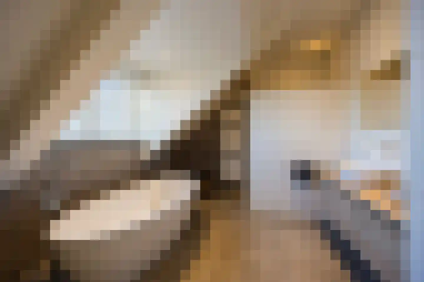 Rijksweg 14 Linne thumbnail 35
