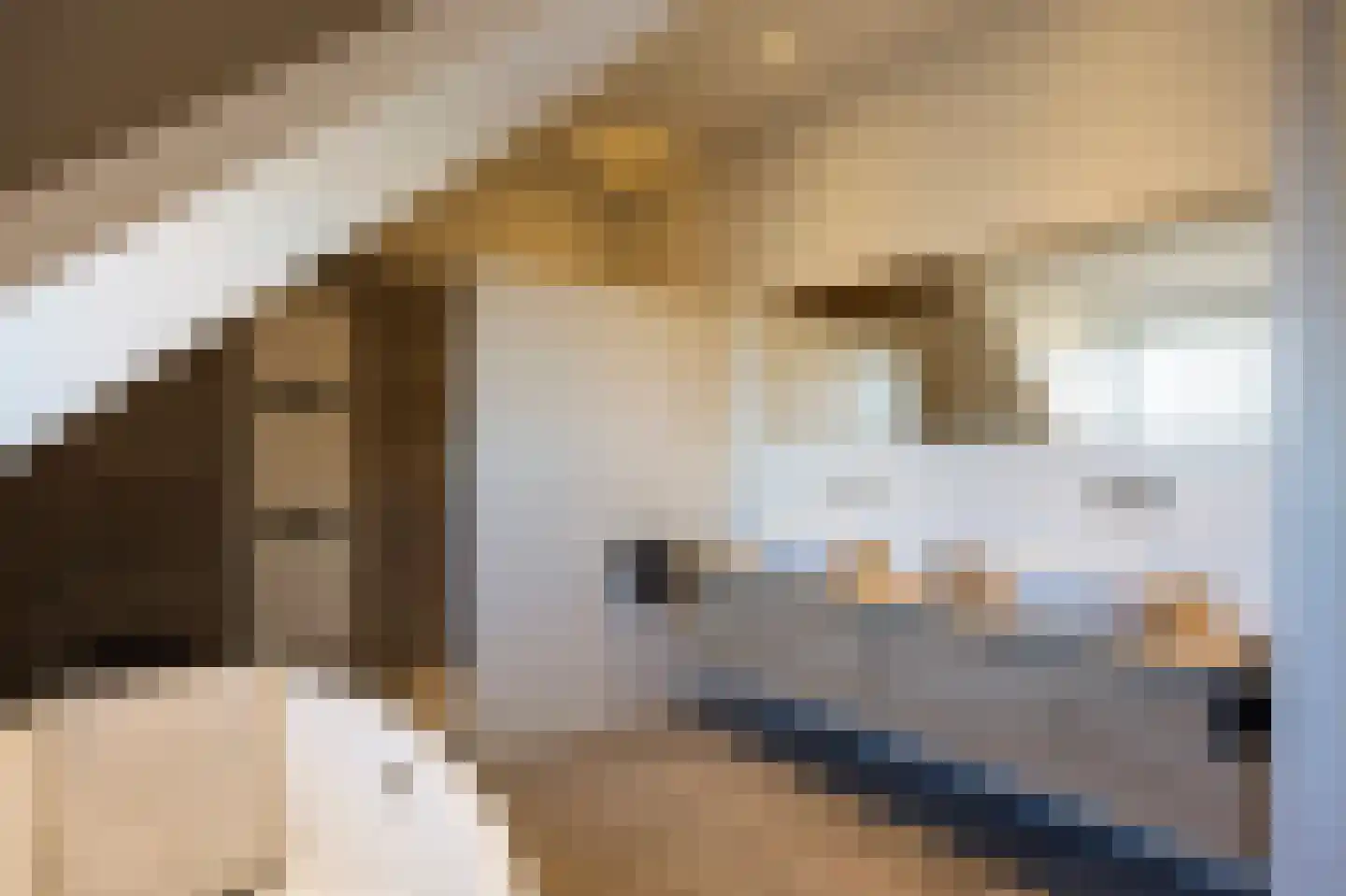 Rijksweg 14 Linne thumbnail 36
