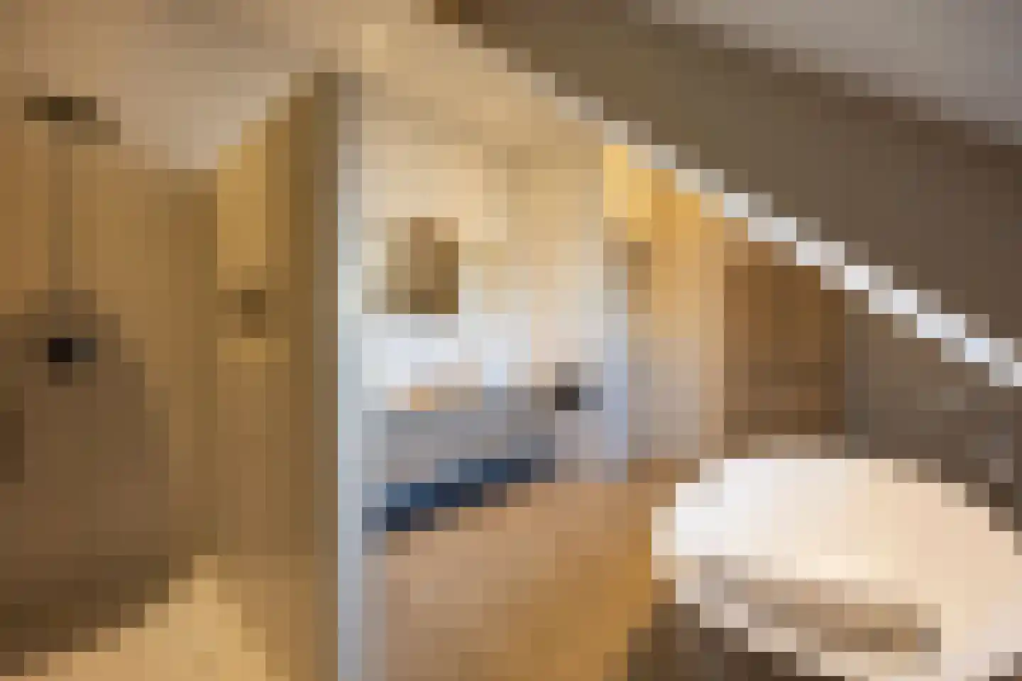 Rijksweg 14 Linne thumbnail 37