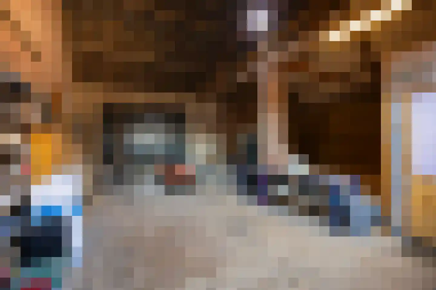 Rijksweg 14 Linne thumbnail 41