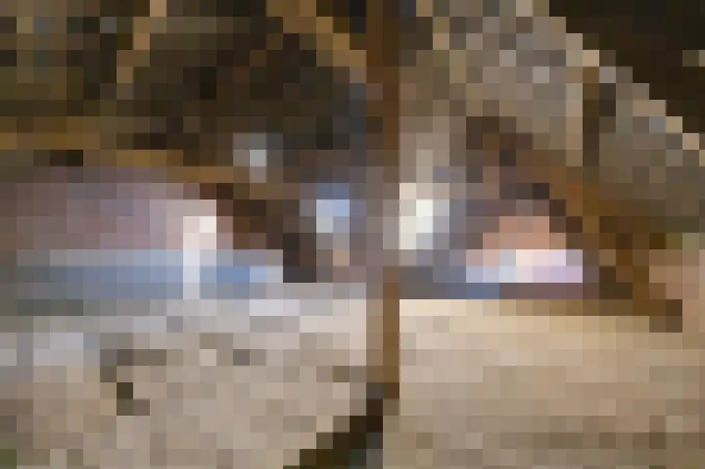 Rijksweg 14 Linne thumbnail 44