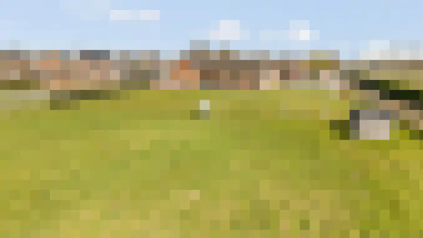 Rijksweg 14 Linne thumbnail 48