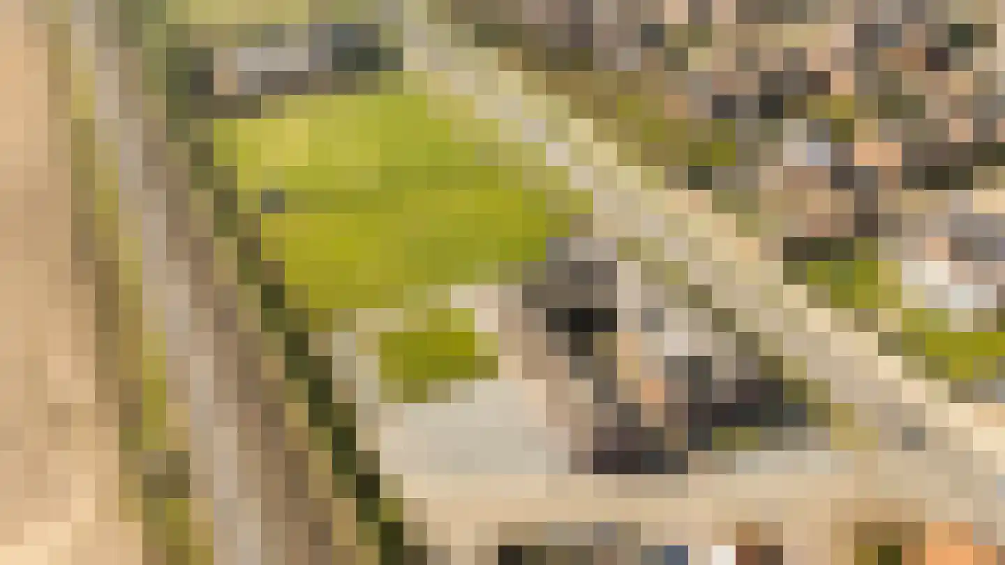 Rijksweg 14 Linne thumbnail 56