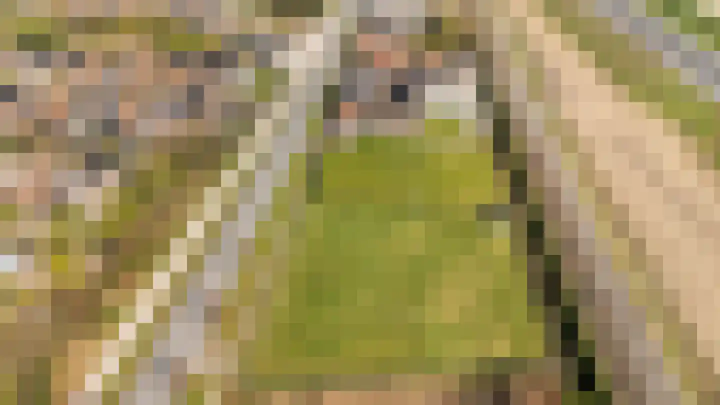 Rijksweg 14 Linne thumbnail 57