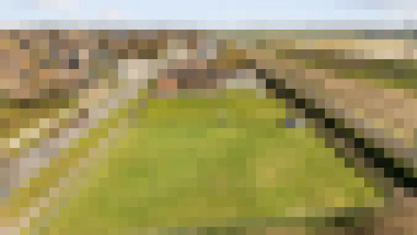 Rijksweg 14 Linne thumbnail 58