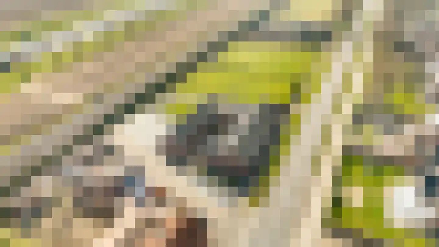 Rijksweg 14 Linne thumbnail 60