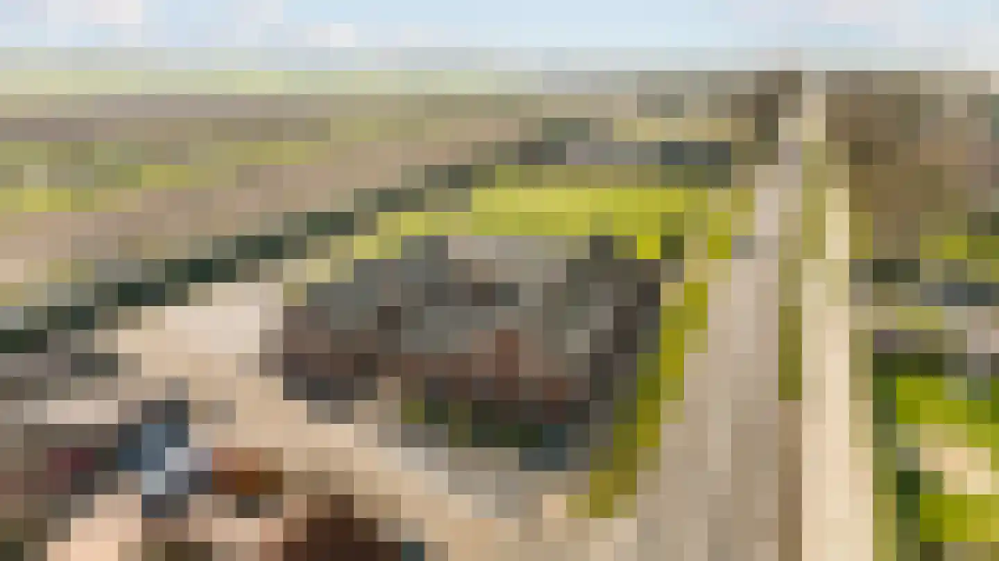Rijksweg 14 Linne thumbnail 61