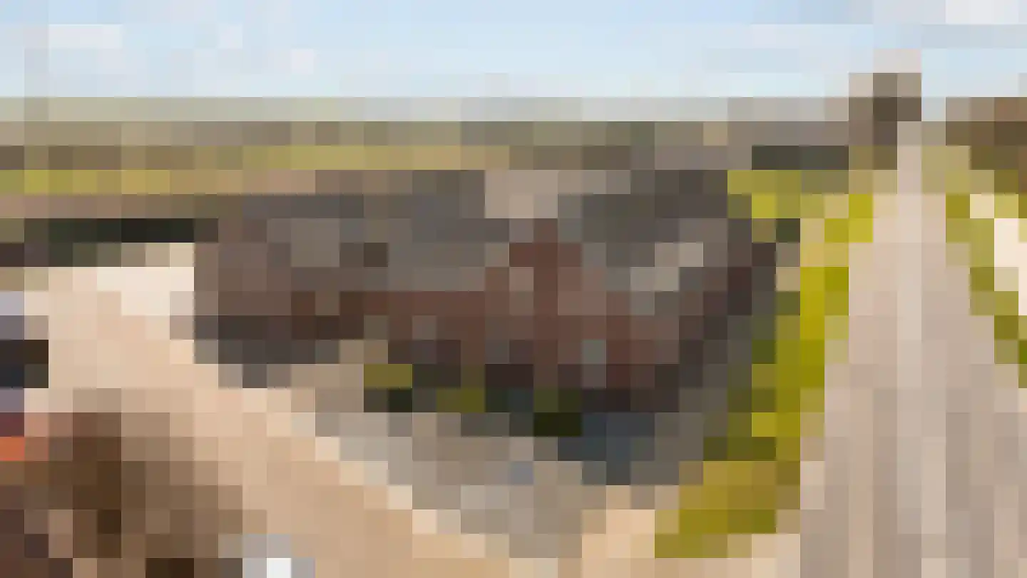 Rijksweg 14 Linne thumbnail 62