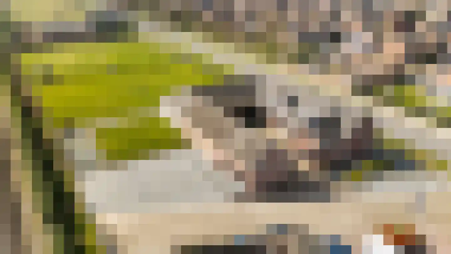 Rijksweg 14 Linne thumbnail 65