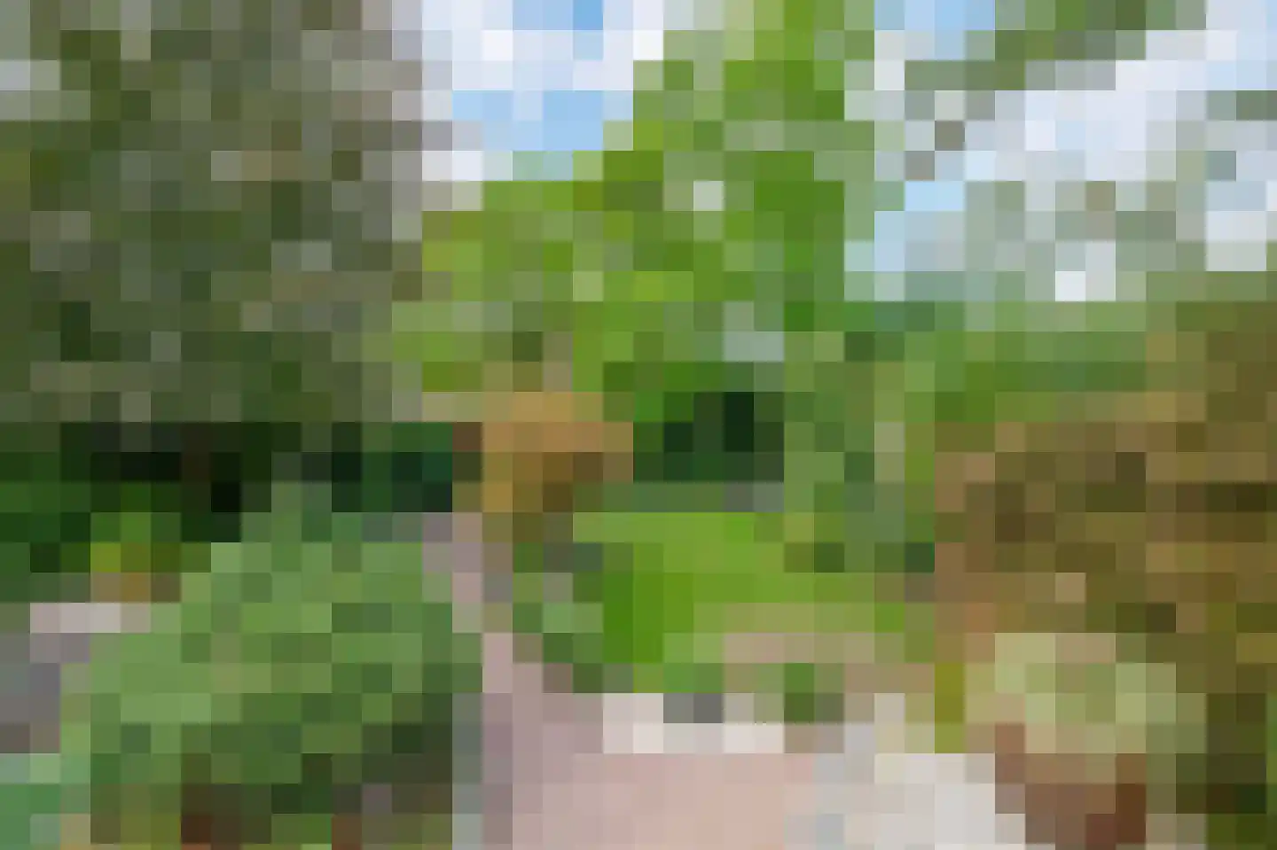 Rijksweg 142 A Velden thumbnail 41