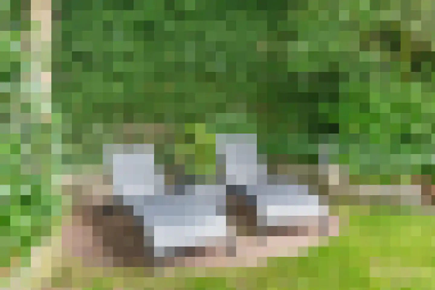 Rijksweg 142 A Velden thumbnail 42