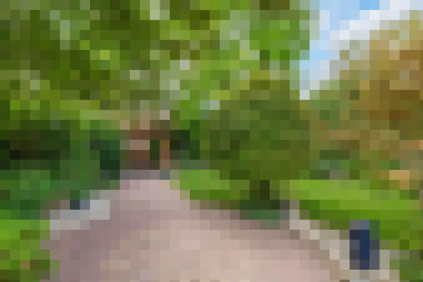 Rijksweg 142 A Velden thumbnail 44