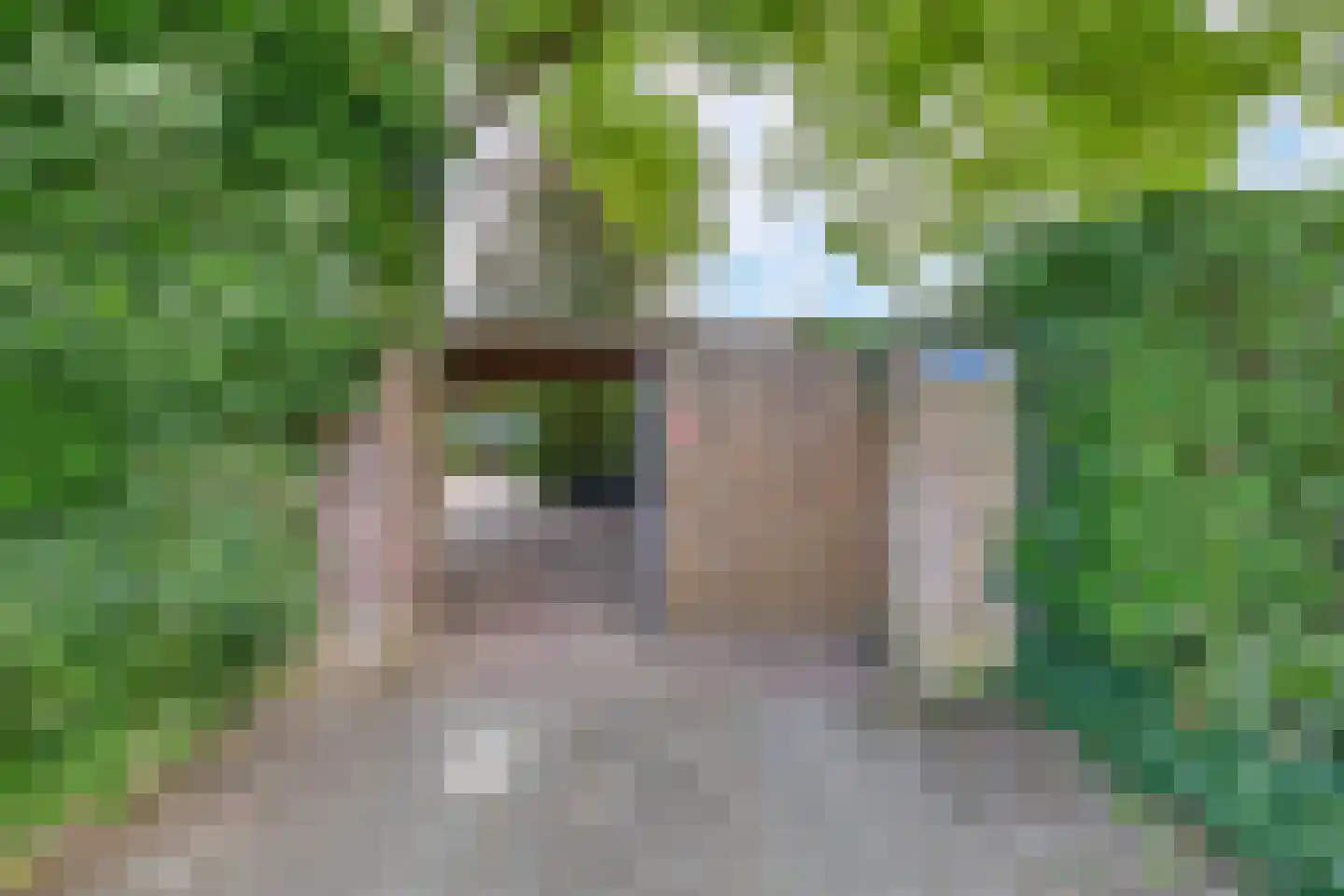 Rijksweg 142 A Velden thumbnail 47