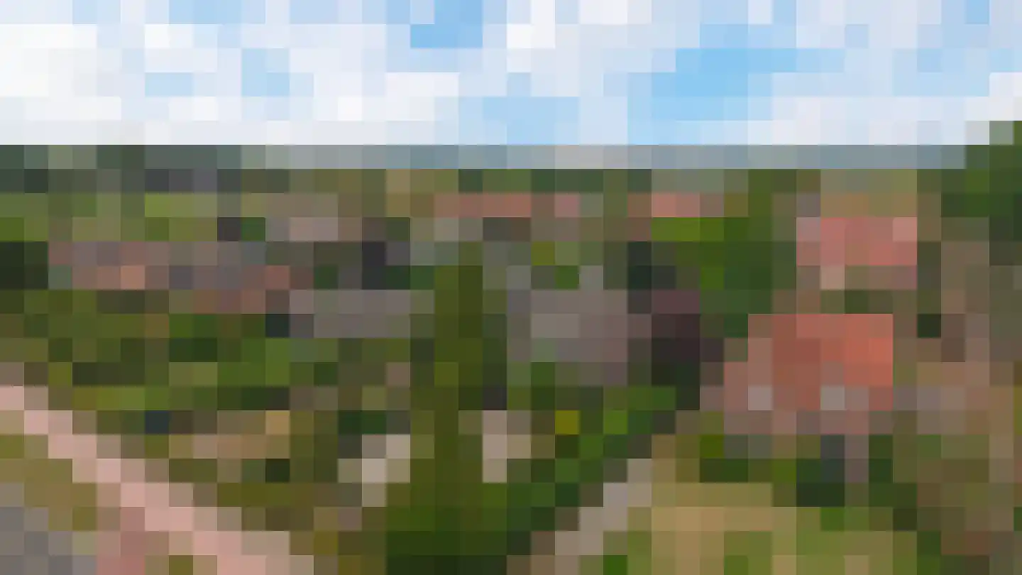 Rijksweg 142 A Velden thumbnail 49