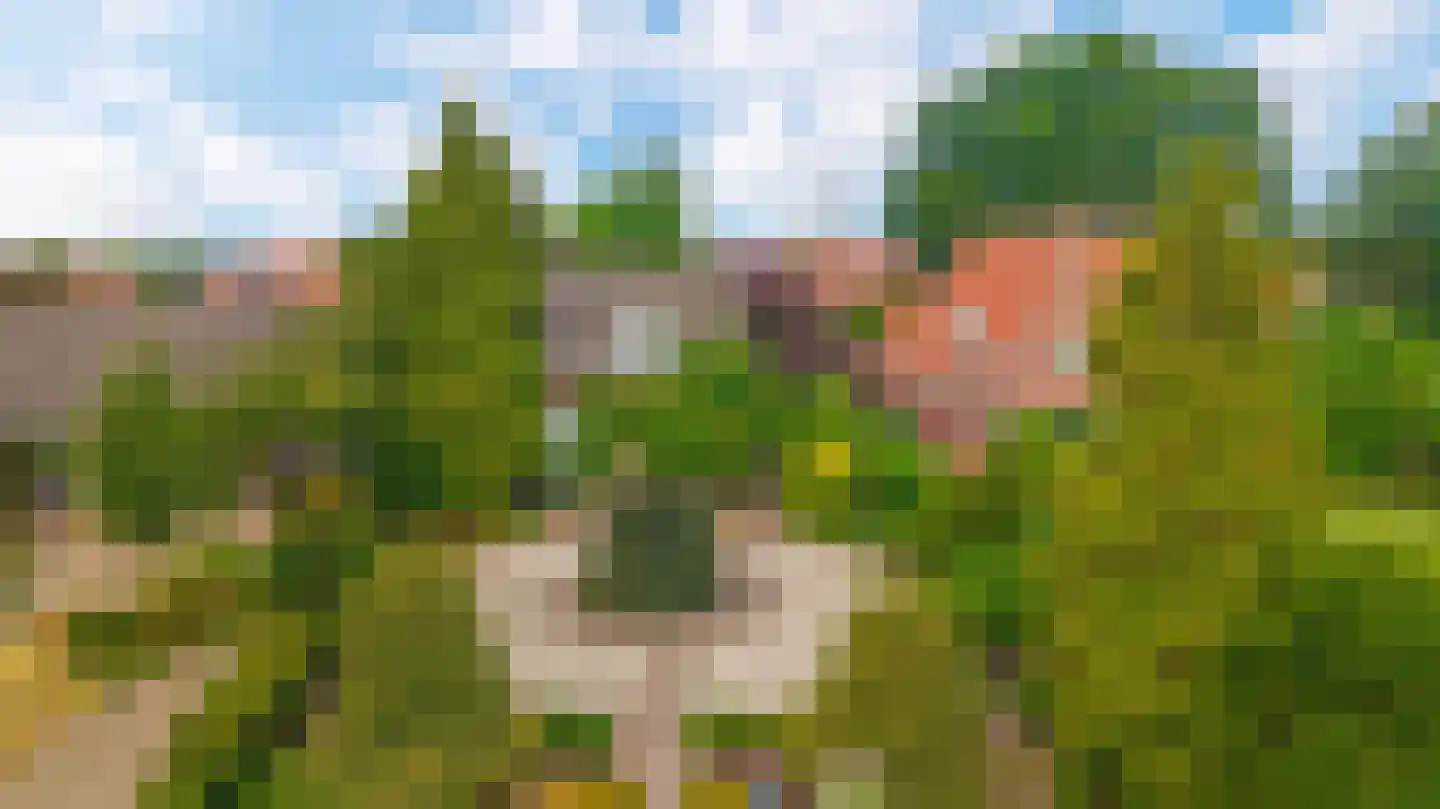 Rijksweg 142 A Velden thumbnail 5