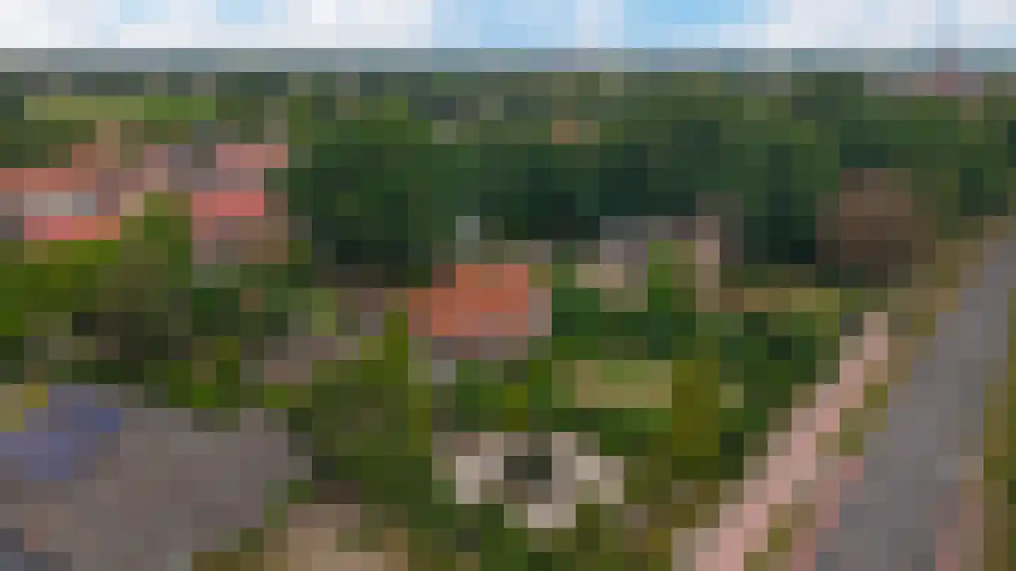 Rijksweg 142 A Velden thumbnail 50