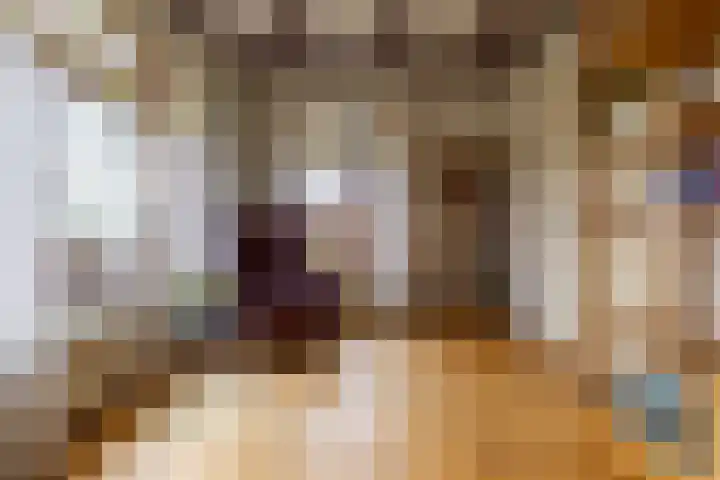 Rijksweg 145 Ten Post thumbnail 11