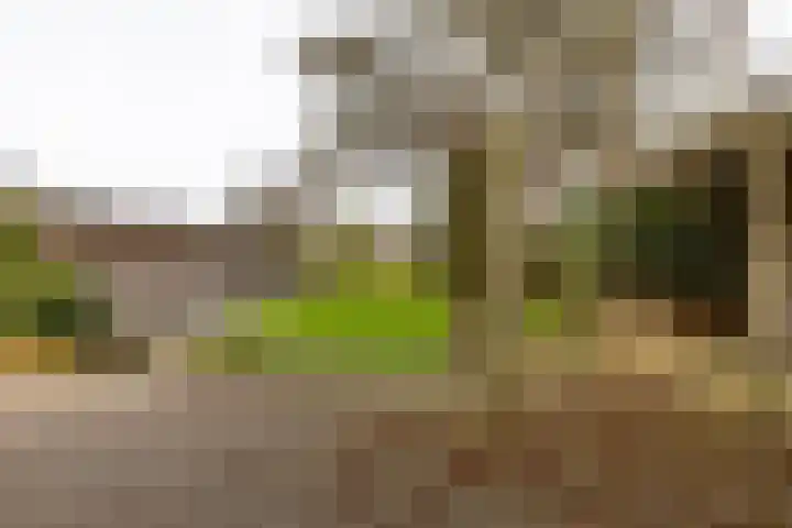 Rijksweg 145 Ten Post thumbnail 42