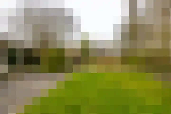 Rijksweg 145 Ten Post thumbnail 43