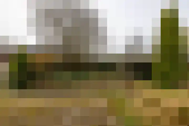 Rijksweg 145 Ten Post thumbnail 44