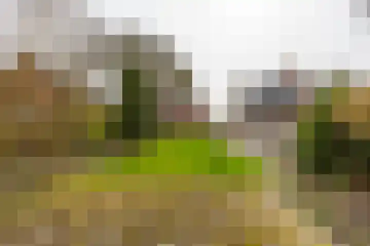 Rijksweg 145 Ten Post thumbnail 45