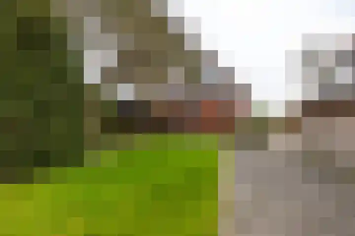 Rijksweg 145 Ten Post thumbnail 46