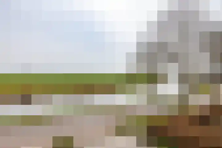 Rijksweg 145 Ten Post thumbnail 55