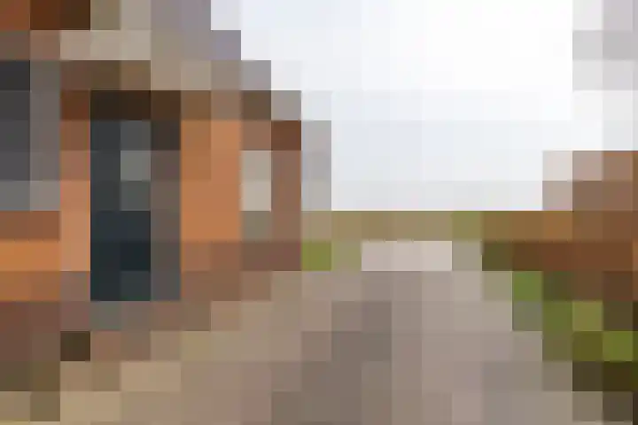 Rijksweg 145 Ten Post thumbnail 7