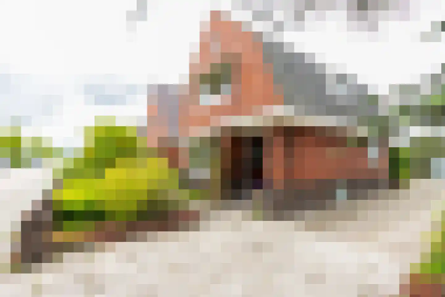 Rijksweg 148 Groningen