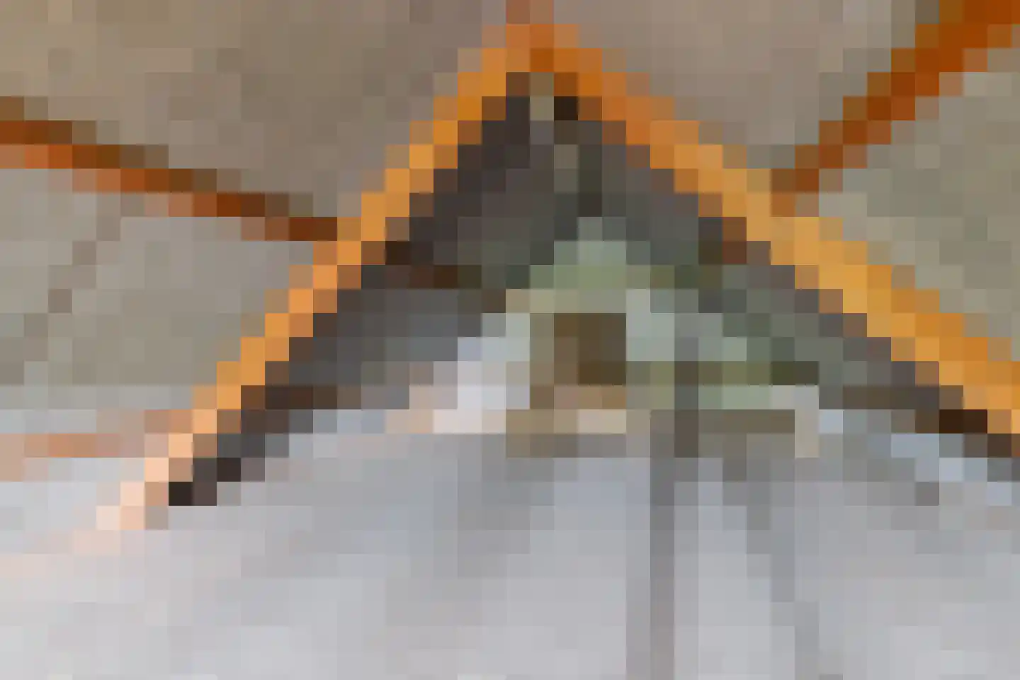 Rijksweg 148 Groningen thumbnail 37