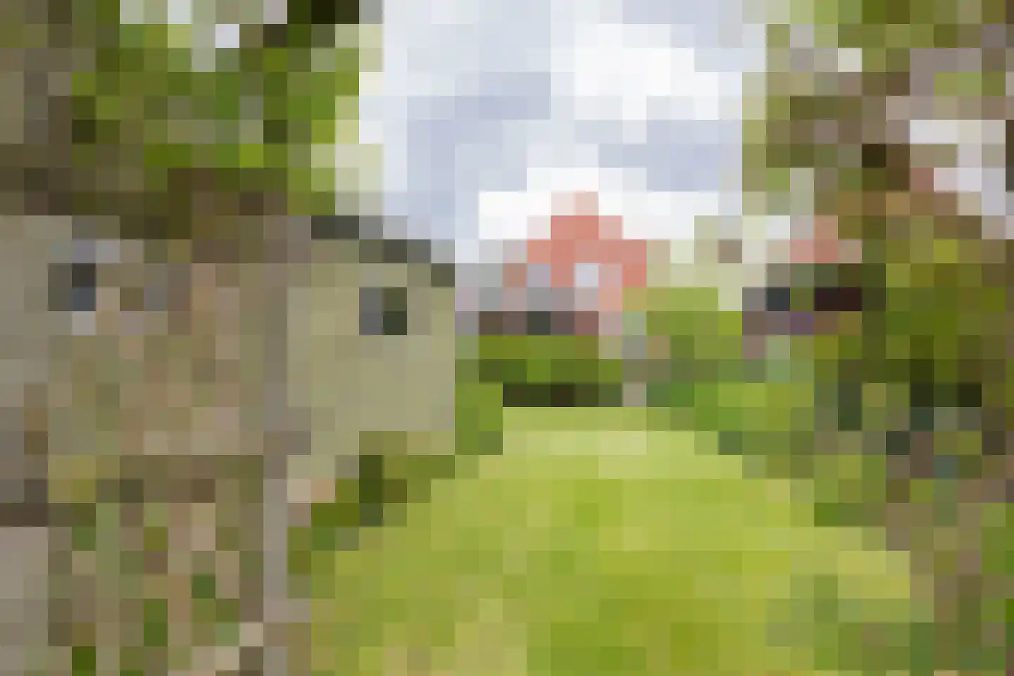 Rijksweg 148 Groningen thumbnail 44