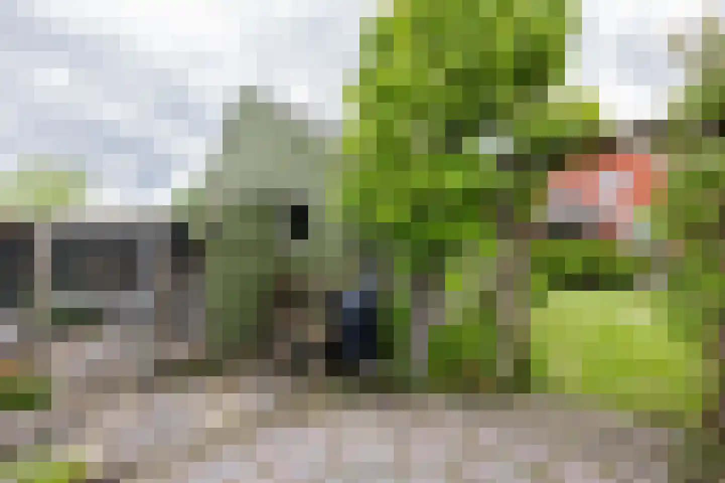 Rijksweg 148 Groningen thumbnail 45