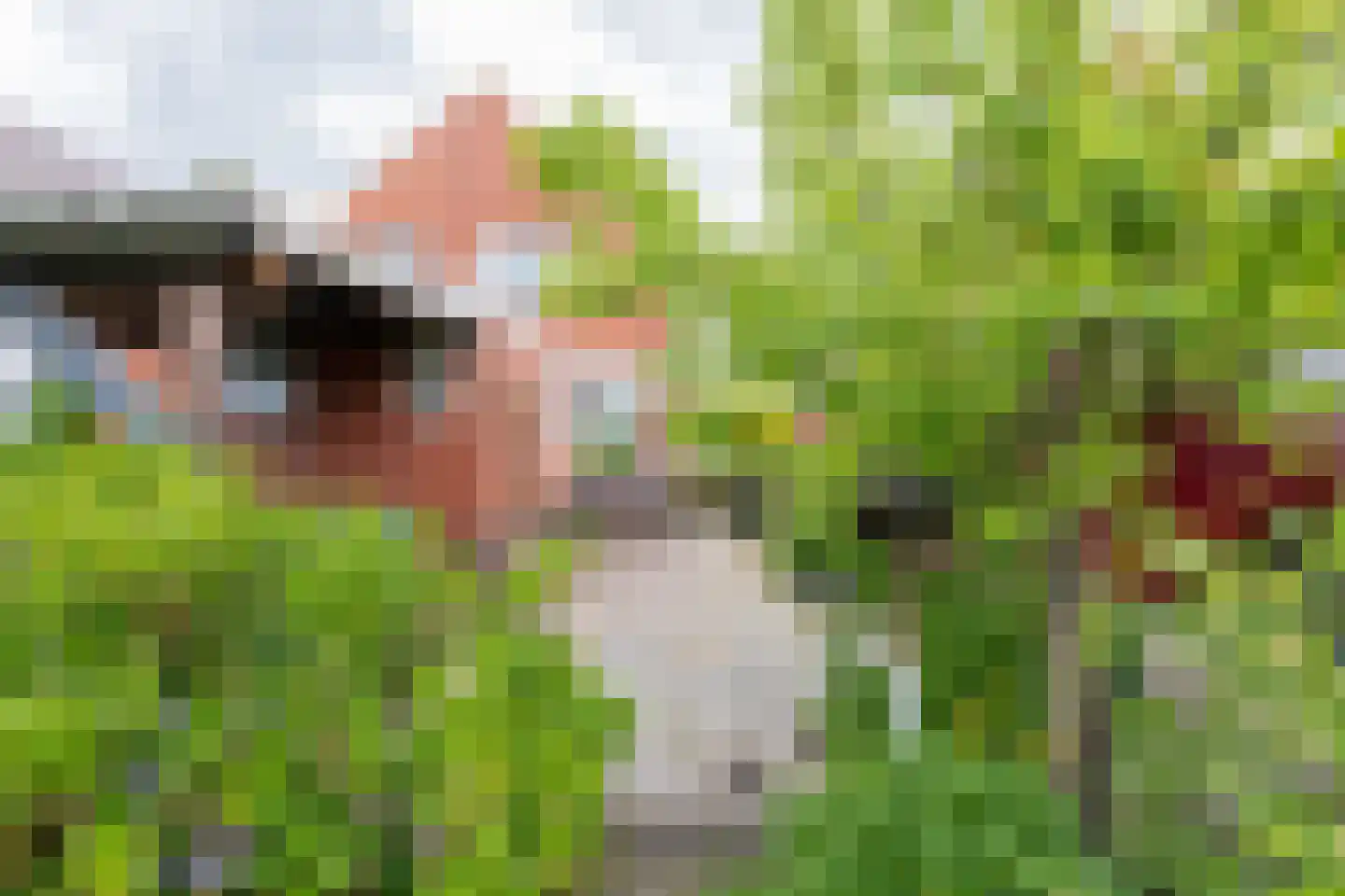 Rijksweg 148 Groningen thumbnail 49