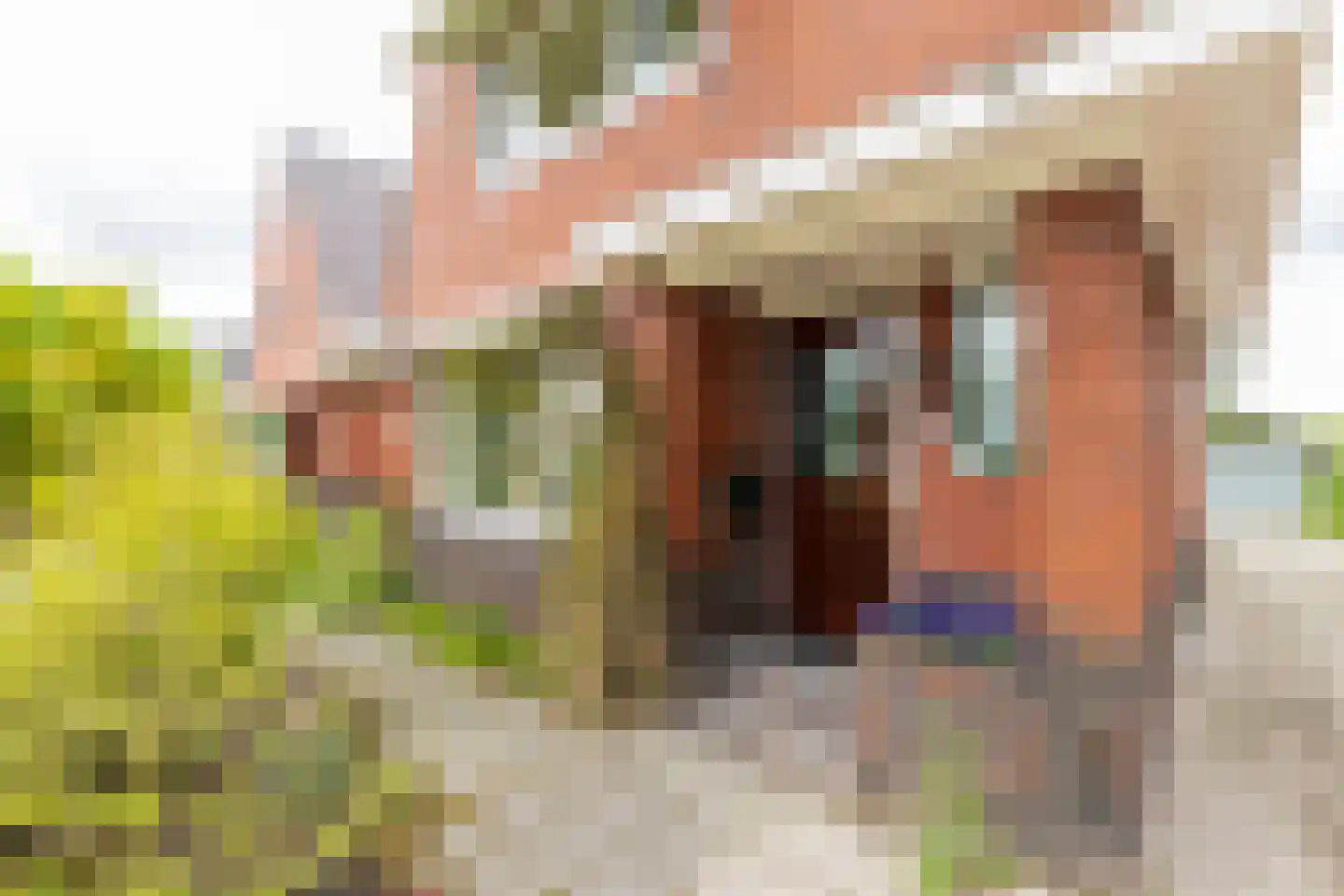 Rijksweg 148 Groningen thumbnail 5