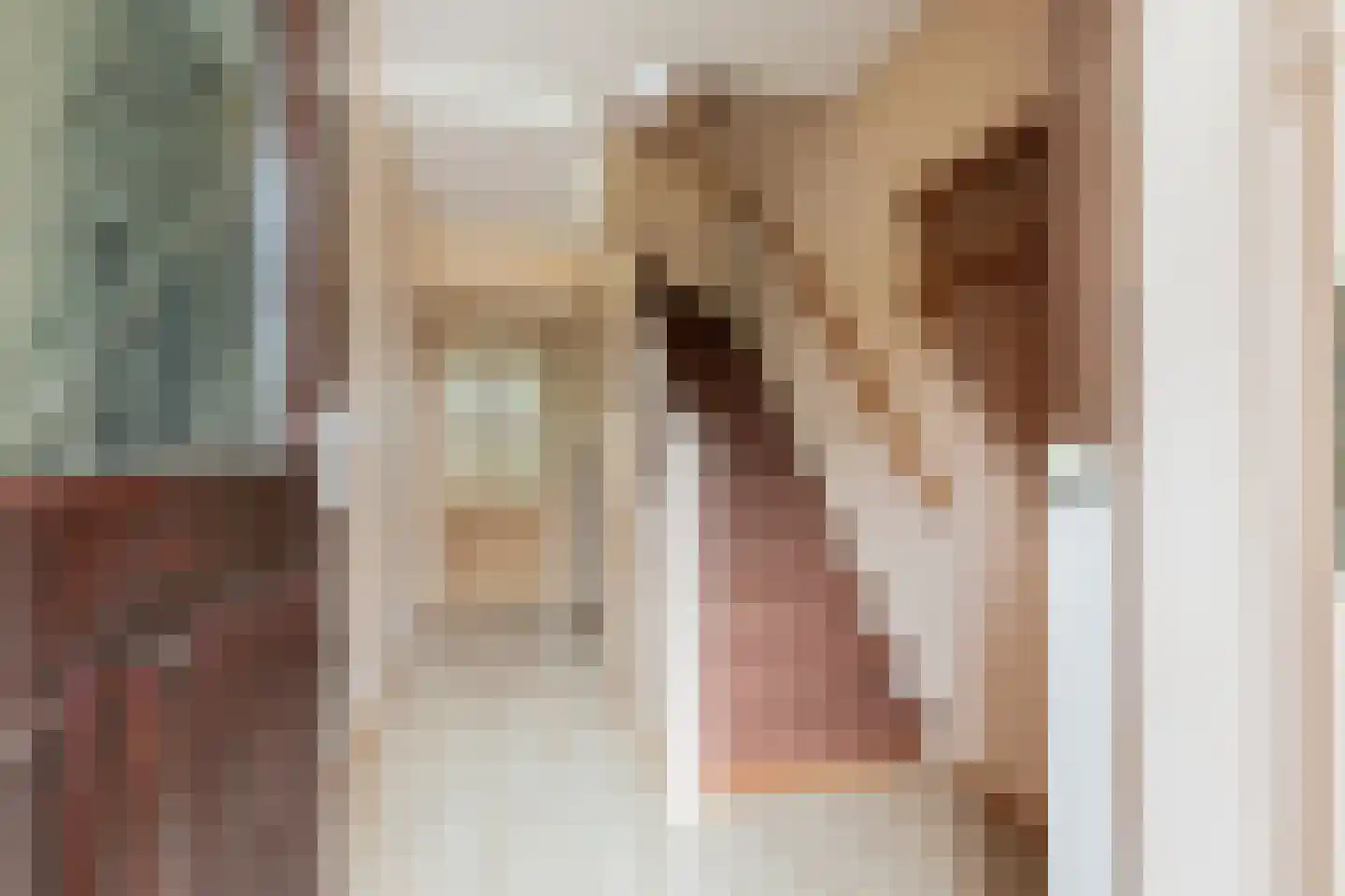 Rijksweg 148 Groningen thumbnail 7
