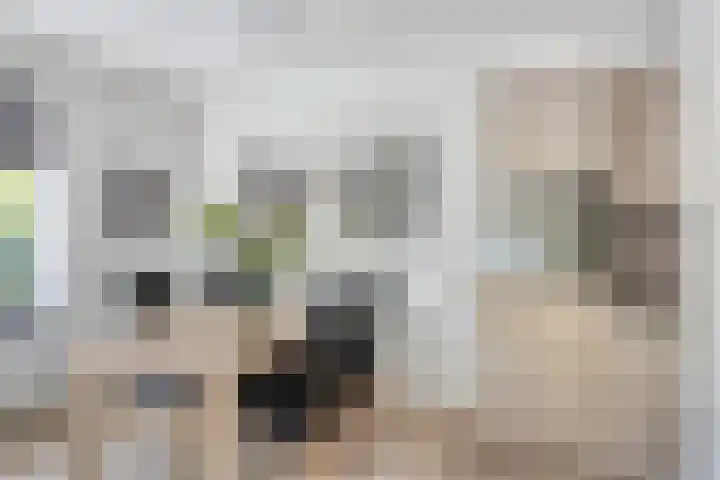 Rijksweg 149 E Berg en Terblijt thumbnail 17