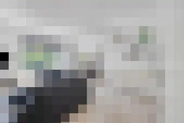 Rijksweg 149 E Berg en Terblijt thumbnail 4