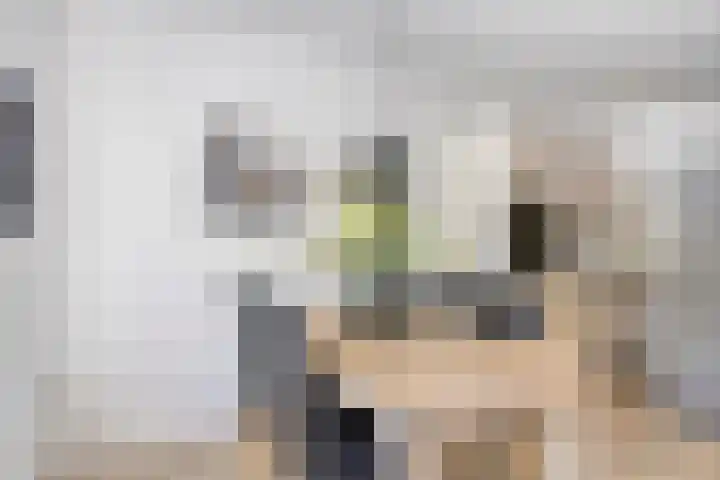 Rijksweg 149 E Berg en Terblijt thumbnail 5