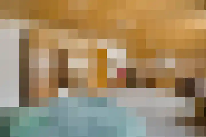 Rijksweg 15 Baexem thumbnail 35